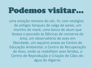 Símbolo	O símbolo do parque é o caimão-comum, espécie rara que existe em Portugal e que só se reproduz exclusivamente nestes lagos algarvios. Símbolo do parqueCaimão-comum