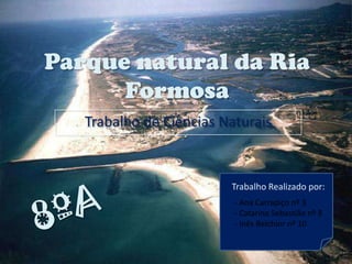 Parque natural da Ria Formosa Trabalho de Ciências Naturais Trabalho Realizado por: 8ºA ,[object Object]