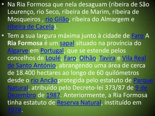 • Na Ria Formosa que nela desaguam (ribeira de São
Lourenço, rio Seco, ribeira de Marim, ribeira de
Mosqueiros , rio Gilão, ribeira do Almargem e
ribeira de Cacela).
• Tem a sua largura máxima junto à cidade de Faro A
Ria Formosa é um sapal situado na província do
Algarve em Portugal, que se estende pelos
concelhos de Loulé, Faro, Olhão, Tavira e Vila Real
de Santo António, abrangendo uma área de cerca
de 18.400 hectares ao longo de 60 quilómetros
desde o rio Ancãoprotegida pelo estatuto de Parque
Natural, atribuído pelo Decreto-lei 373/87 de 9 de
Dezembro de 1987. Anteriormente, a Ria Formosa
tinha estatuto de Reserva Natural, instituído em
1978.
 