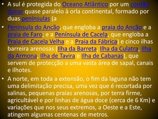 • A sul é protegida do Oceano Atlântico por um cordão
dunar quase paralelo à orla continental, formado por
duas penínsulas (a
• Península do Ancão, que engloba a praia do Ancão e a
praia de Faro; e a Península de Cacela, que engloba a
Praia de Cacela Velha e a Praia da Fábrica) e cinco ilhas
barreira arenosas (Ilha da Barreta, Ilha da Culatra, Ilha
da Armona, Ilha de Tavira e Ilha de Cabanas), que
servem de protecção a uma vasta área de sapal, canais
e ilhotes.
• A norte, em toda a extensão, o fim da laguna não tem
uma delimitação precisa, uma vez que é recortada por
salinas, pequenas praias arenosas, por terra firme,
agricultável e por linhas de água doce (cerca de 6 Km) e
variações que nos seus extremos, a Oeste e a Este,
atingem algumas centenas de metros.
 