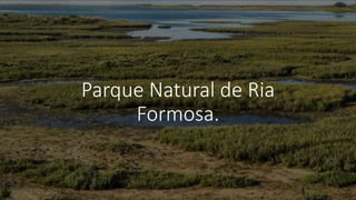 Parque Natural de Ria
Formosa.
 
