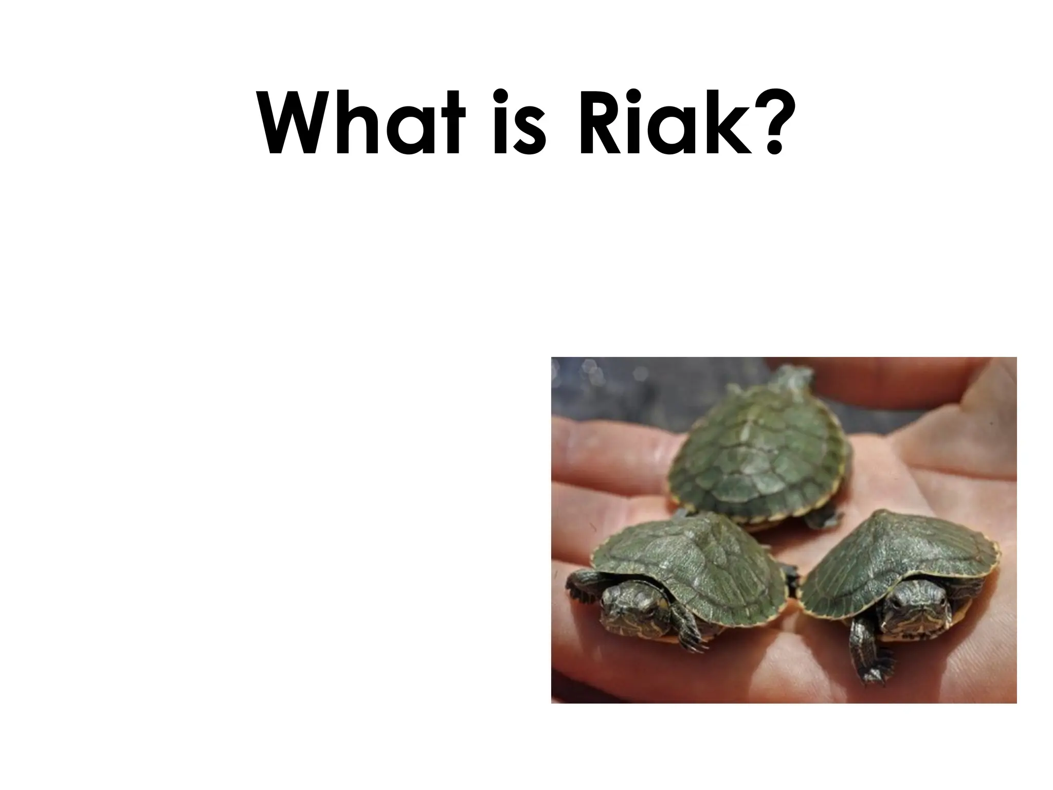 What is Riak?
 