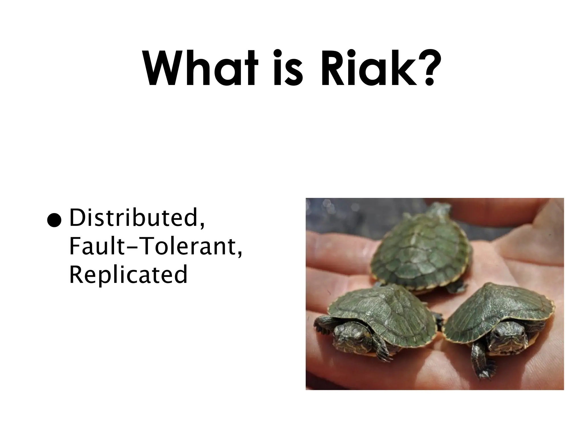 What is Riak?


• Distributed,
  Fault-Tolerant,
  Replicated
 