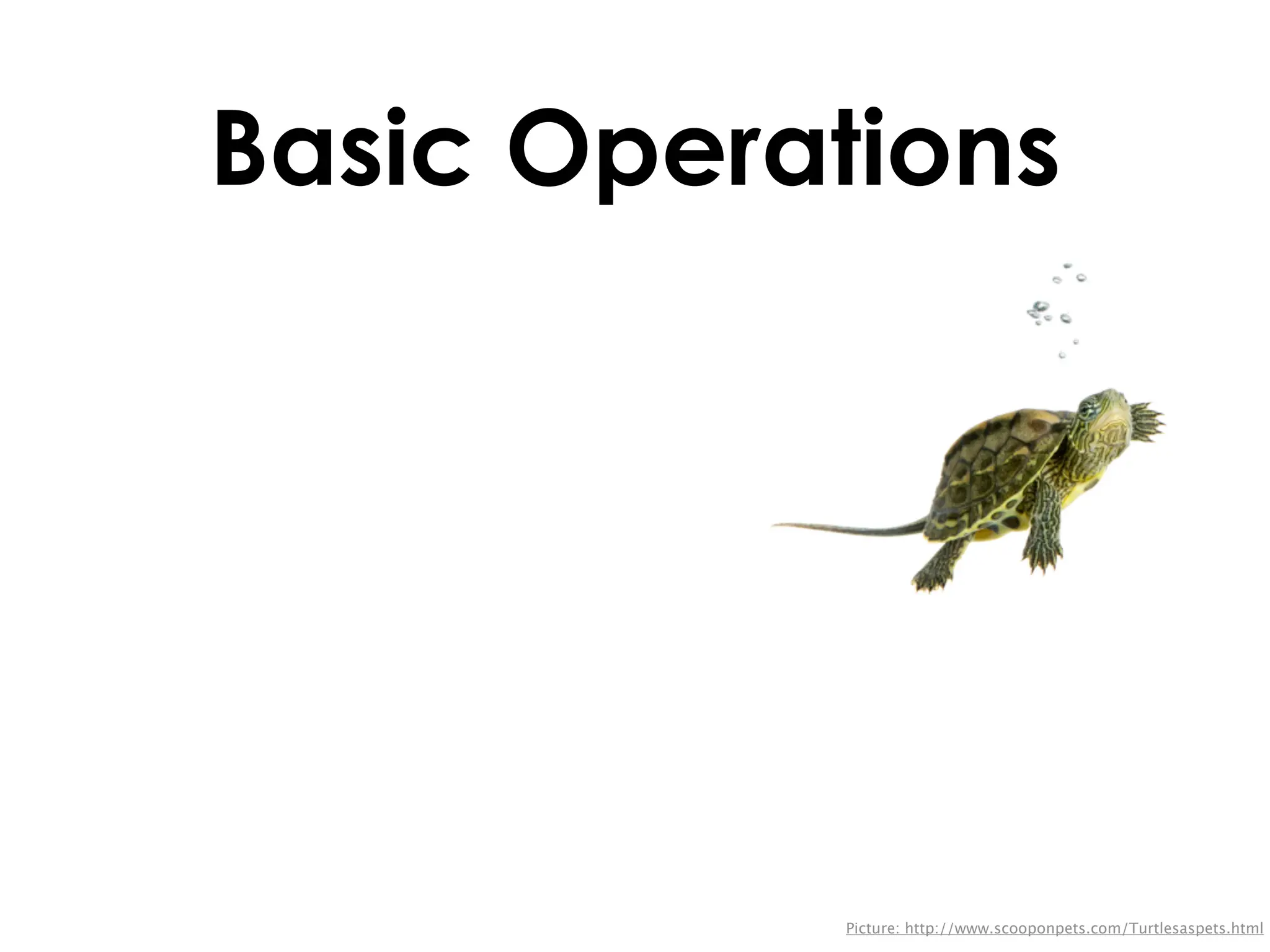 Basic Operations




           Picture: http://www.scooponpets.com/Turtlesaspets.html
 