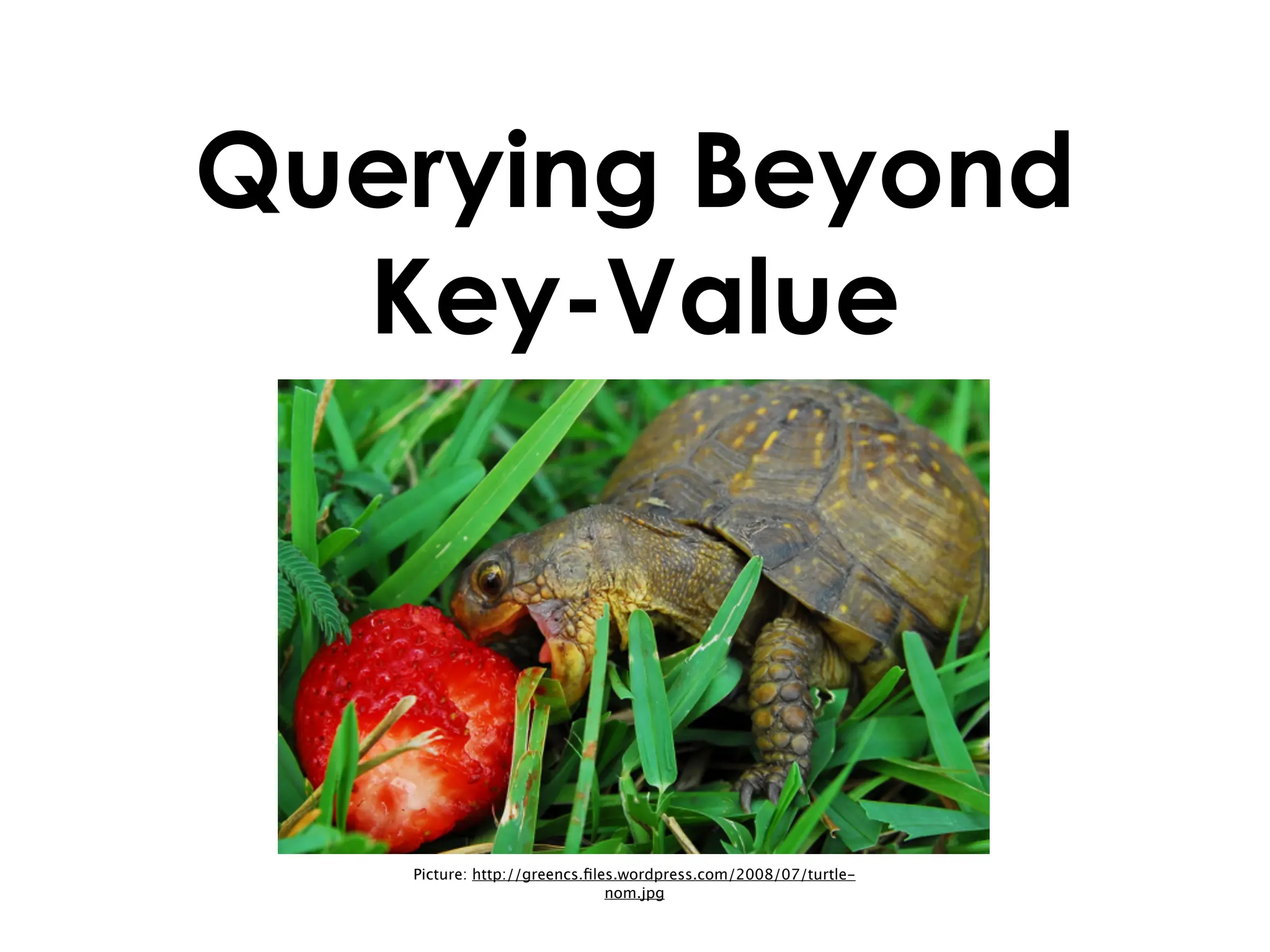 Querying Beyond
  Key-Value




   Picture: http://greencs.ﬁles.wordpress.com/2008/07/turtle-
                              nom.jpg
 