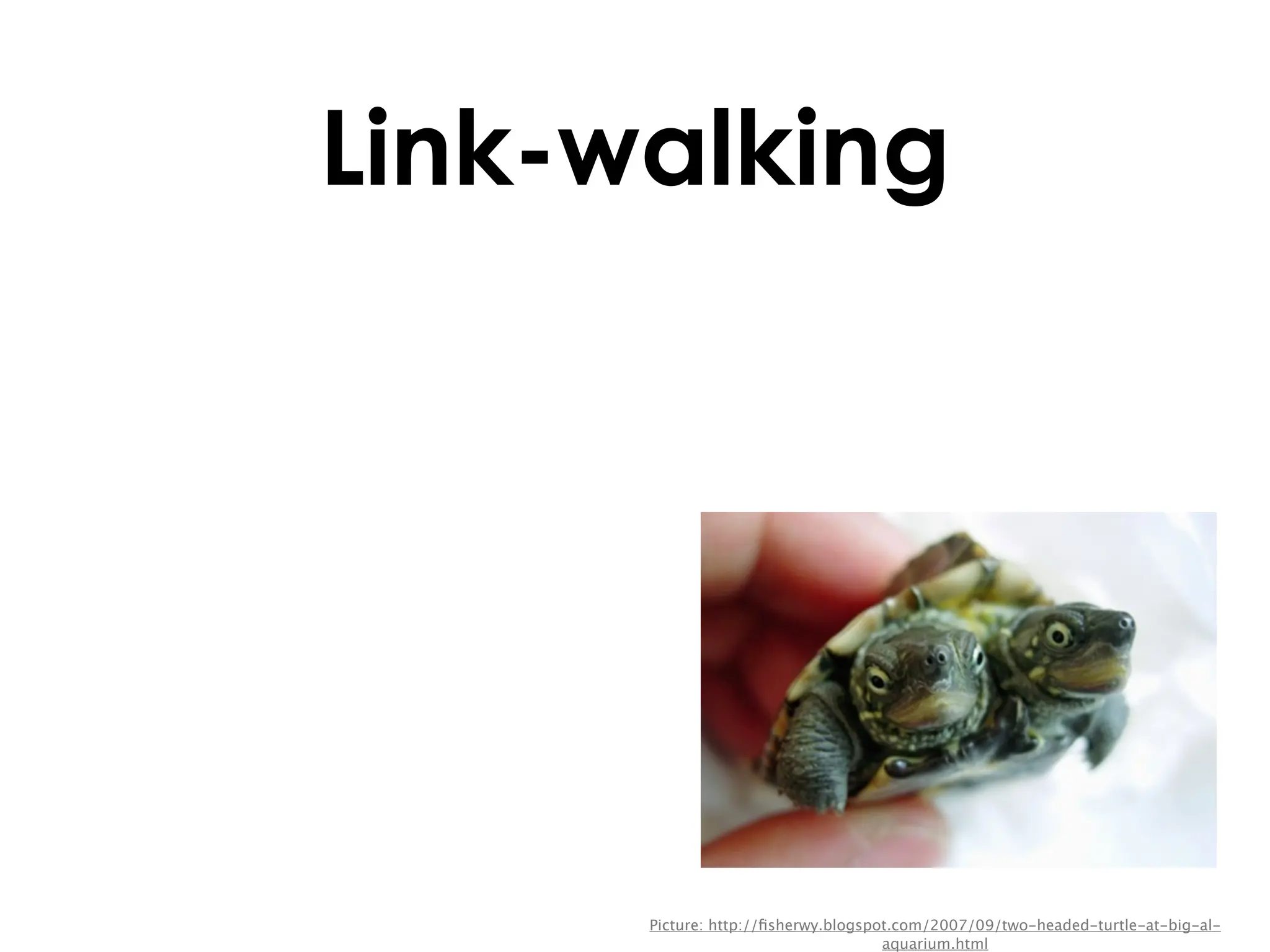 Link-walking




      Picture: http://ﬁsherwy.blogspot.com/2007/09/two-headed-turtle-at-big-al-
                                     aquarium.html
 
