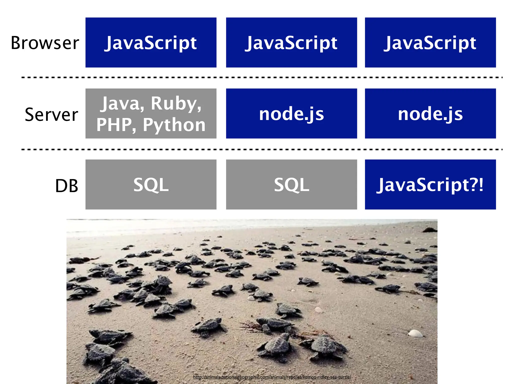 Browser   JavaScript                         JavaScript                                              JavaScript


        Java, Ruby,
 Server                                            node.js                                             node.js
        PHP, Python


    DB       SQL                                           SQL                                       JavaScript?!




                   http://animals.nationalgeographic.com/animals/reptiles/kemps-ridley-sea-turtle/
 