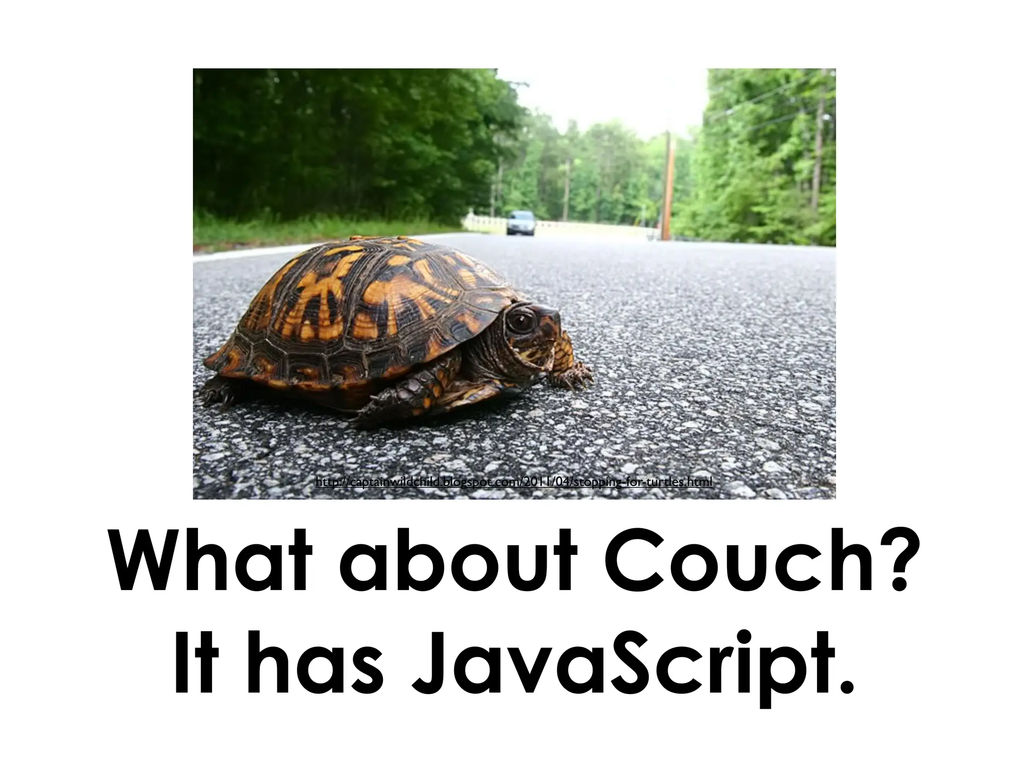http://captainwildchild.blogspot.com/2011/04/stopping-for-turtles.html




What about Couch?
 It has JavaScript.
 