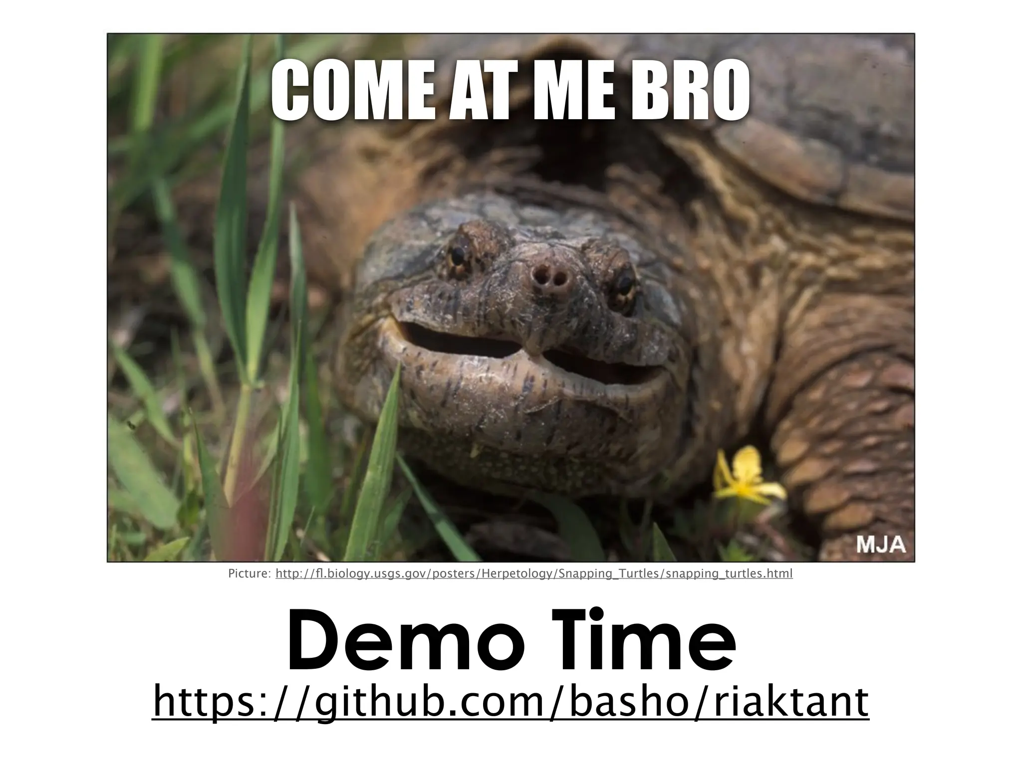 COME AT ME BRO




   Picture: http://ﬂ.biology.usgs.gov/posters/Herpetology/Snapping_Turtles/snapping_turtles.html




            Demo Time
https://github.com/basho/riaktant
 