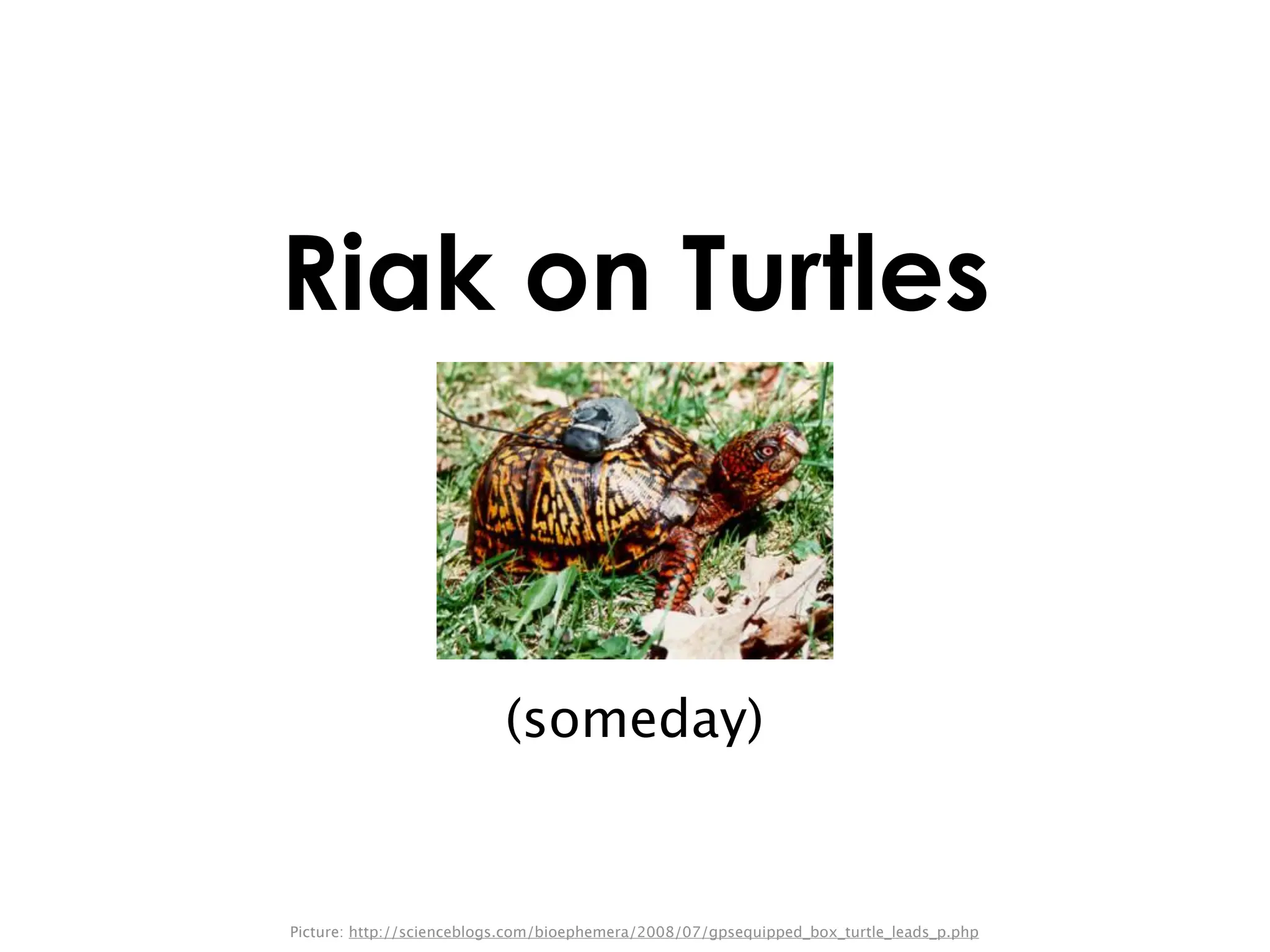 Riak on Turtles



                           (someday)


Picture: http://scienceblogs.com/bioephemera/2008/07/gpsequipped_box_turtle_leads_p.php
 