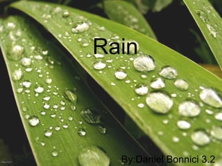 Rain By:Daniel Bonnici 3.2 