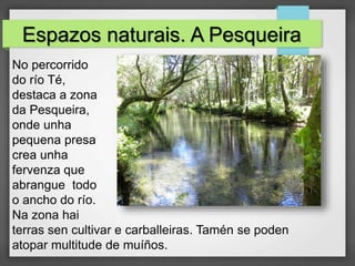 Espazos naturais. A Pesqueira
No percorrido
do río Té,
destaca a zona
da Pesqueira,
onde unha
pequena presa
crea unha
fervenza que
abrangue todo
o ancho do río.
Na zona hai
terras sen cultivar e carballeiras. Tamén se poden
atopar multitude de muíños.
 
