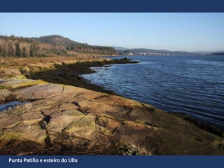 Punta Patiño e esteiro do Ulla
 