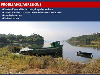 PROBLEMAS/AGRESIÓNS
-Construcións na liña de costa, dragados, recheos
-Presión humana nos espazos naturais e sobre as especies
-Especies invasoras
-Contaminación
Interior do seo de Beluso
 