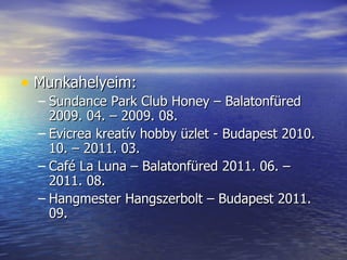• Munkahelyeim:
  – Sundance Park Club Honey – Balatonfüred
    2009. 04. – 2009. 08.
  – Evicrea kreatív hobby üzlet - Budapest 2010.
    10. – 2011. 03.
  – Café La Luna – Balatonfüred 2011. 06. –
    2011. 08.
  – Hangmester Hangszerbolt – Budapest 2011.
    09.
 