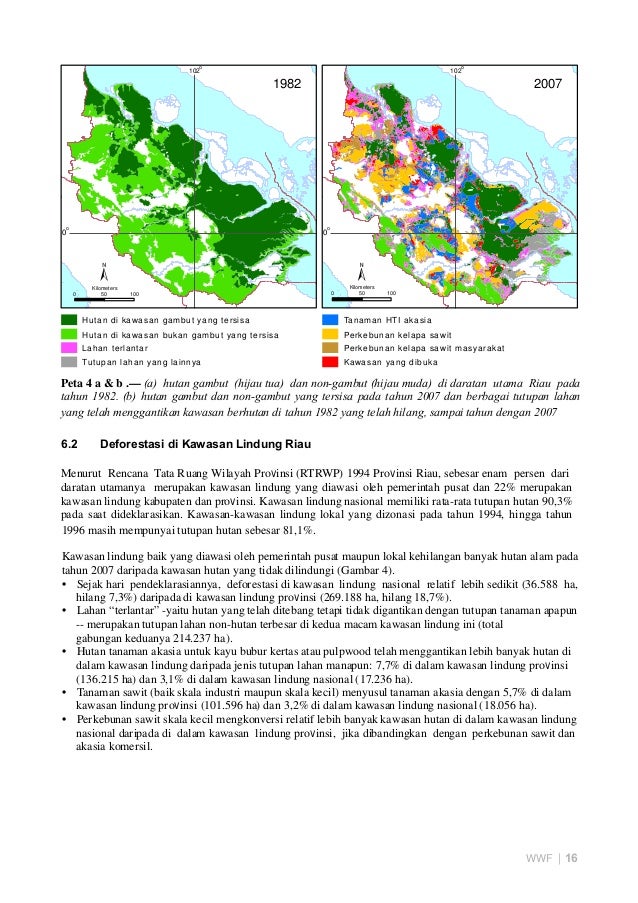 Riau Co2 Full Report Bahasa Indonesia