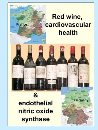 Germany
France
Red wine,
cardiovascular
health
&
endothelial
nitric oxide
synthase
 