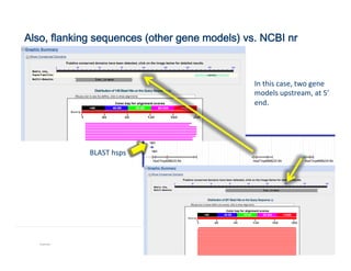 Also, flanking sequences (other gene models) vs. NCBI nr
Example 101
In	
  this	
  case,	
  two	
  gene	
  
models	
  upstream,	
  at	
  5’	
  
end.	
  
BLAST	
  hsps	
  
 