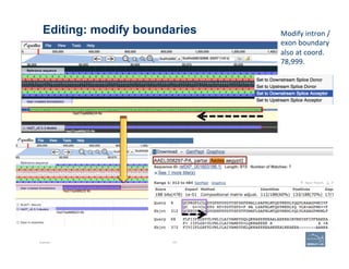 Editing: modify boundaries
Example 107
Modify	
  intron	
  /	
  
exon	
  boundary	
  
also	
  at	
  coord.	
  
78,999.	
  
 