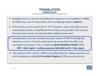 17BIO-REFRESHER
TRANSLATION 
reading frame
v  Reading	
  frame	
  is	
  a	
  manner	
  of	
  dividing	
  the	
  sequence	
  of	
  nucleo(des	
  in	
  mRNA	
  
(or	
  DNA)	
  into	
  a	
  set	
  of	
  consecu(ve,	
  non-­‐overlapping	
  triplets	
  (codons).	
  
v  Three	
  frames	
  can	
  be	
  read	
  in	
  the	
  5’	
  à	
  3’	
  direc(on.	
  Given	
  that	
  DNA	
  has	
  two	
  
an(-­‐parallel	
  strands,	
  an	
  addi(onal	
  three	
  frames	
  are	
  possible	
  to	
  be	
  read	
  on	
  
the	
  an(-­‐sense	
  strand.	
  Six	
  total	
  possible	
  reading	
  frames	
  exist.	
  
v  In	
  eukaryotes,	
  only	
  one	
  reading	
  frame	
  per	
  sec(on	
  of	
  DNA	
  is	
  biologically	
  
relevant	
  at	
  a	
  (me:	
  it	
  has	
  the	
  poten(al	
  to	
  be	
  transcribed	
  into	
  RNA	
  and	
  
translated	
  into	
  protein.	
  This	
  is	
  called	
  the	
  OPEN	
  READING	
  FRAME	
  (ORF)	
  
•  ORF	
  =	
  Start	
  signal	
  +	
  coding	
  sequence	
  (divisible	
  by	
  3)	
  +	
  Stop	
  signal	
  
v  The	
  sec(ons	
  of	
  the	
  mature	
  mRNA	
  transcribed	
  with	
  the	
  coding	
  sequence	
  but	
  
not	
  translated	
  are	
  called	
  UnTranslated	
  Regions	
  (UTR);	
  one	
  at	
  each	
  end.	
  
 