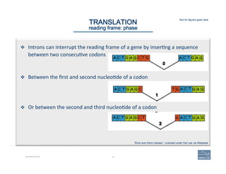 22
Text for figures goes here
BIO-REFRESHER
TRANSLATION 
reading frame: phase
v  Introns	
  can	
  interrupt	
  the	
  reading	
  frame	
  of	
  a	
  gene	
  by	
  inser(ng	
  a	
  sequence	
  
between	
  two	
  consecu(ve	
  codons	
  
	
  
	
  
v  Between	
  the	
  ﬁrst	
  and	
  second	
  nucleo(de	
  of	
  a	
  codon	
  
	
  
v  Or	
  between	
  the	
  second	
  and	
  third	
  nucleo(de	
  of	
  a	
  codon	
  
"Exon and Intron classes”. Licensed under Fair use via Wikipedia
 