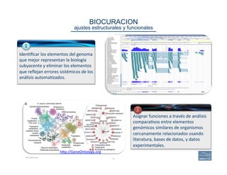 33
BIOCURACION 
ajustes estructurales y funcionales
Iden(ﬁcar	
  los	
  elementos	
  del	
  genoma	
  
que	
  mejor	
  representan	
  la	
  biología	
  
subyacente	
  y	
  eliminar	
  los	
  elementos	
  
que	
  reﬂejan	
  errores	
  sistémicos	
  de	
  los	
  
análisis	
  automa(zados.	
  
Asignar	
  funciones	
  a	
  través	
  de	
  análisis	
  
compara(vos	
  entre	
  elementos	
  
genómicos	
  similares	
  de	
  organismos	
  
cercanamente	
  relacionados	
  usando	
  
literatura,	
  bases	
  de	
  datos,	
  y	
  datos	
  
experimentales.	
  
BIOCURACION
hAp://GeneOntology.org	
  
1	
  
2	
  
 