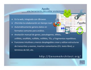 Apollo 
una herramienta para editar anotaciones
36
v  En	
  la	
  web,	
  integrado	
  con	
  JBrowse.	
  
v  ¡Permite	
  la	
  colaboración	
  en	
  (empo	
  real!	
  
v  Automá(camente	
  genera	
  datos	
  en	
  	
  
formatos	
  comunes	
  para	
  análisis.	
  
v  Anotación	
  manual	
  de	
  genes,	
  pseudogenes,	
  tRNAs,	
  	
  
snRNAs,	
  snoRNAs,	
  ncRNAs,	
  miRNAs,	
  TEs,	
  y	
  fragmentos	
  repe((vos.	
  
v  Funciones	
  intui(vas	
  y	
  menús	
  desplegables	
  crean	
  y	
  editan	
  estructuras	
  
de	
  transcritos	
  y	
  exones,	
  insertan	
  comentarios	
  (CV,	
  texto	
  libre),	
  y	
  
términos	
  de	
  GO,	
  etc.	
  
INTRODUCING APOLLO
hAp://GenomeArchitect.org/	
  
 