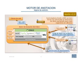 MOTOR DE ANOTACION 
lógica de edición
ARCHITECTURE 39
Motor de Anotación (Servidor)
Shiro
LDAP
OAuth
Datos a JBrowse
Organismo 2
Datos a JBrowse
Organismo 1
Servicio único de almacenamiento
Apollo v2.0
Controladores Grails (J2EE servlet)
llevan las solicitudes al directorio
de datos apropiado para cada
organismo en JBrowse
Carga de datos con evidencia
genómica para cada organismo
¡NUEVO!
Cliente de web
REST / JSON
Websockets
 