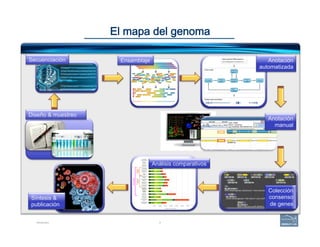 6
El mapa del genoma
Introduction
Diseño & muestreo
Análisis comparativos
Colección
consenso
de genes
Anotación
manual
Anotación
automatizada
Secuenciación Ensamblaje
Síntesis &
publicación
 