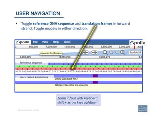 67 |
Zoom	
  in/out	
  with	
  keyboard:	
  
shio	
  +	
  arrow	
  keys	
  up/down	
  
67	
USER NAVIGATION
Becoming Acquainted with Web Apollo.
•  Toggle	
  reference	
  DNA	
  sequence	
  and	
  transla=on	
  frames	
  in	
  forward	
  
strand.	
  Toggle	
  models	
  in	
  either	
  direc(on.	
  
 