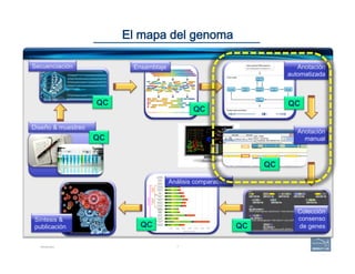 7
El mapa del genoma
Introduction
Diseño & muestreo
Análisis comparativos
Colección
consenso
de genes
Anotación
manual
Anotación
automatizada
Secuenciación Ensamblaje
Síntesis &
publicación
QC
QC
QC
QC
QCQC
QC
 