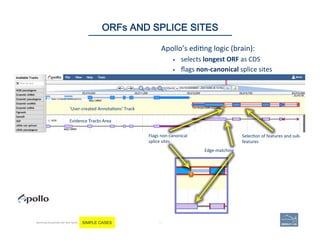 Flags	
  non-­‐canonical	
  
splice	
  sites.	
  
Selec(on	
  of	
  features	
  and	
  sub-­‐
features	
  
Edge-­‐matching	
  
Evidence	
  Tracks	
  Area	
  
‘User-­‐created	
  Annota(ons’	
  Track	
  
Apollo’s	
  edi(ng	
  logic	
  (brain):	
  	
  
§  selects	
  longest	
  ORF	
  as	
  CDS	
  
§  ﬂags	
  non-­‐canonical	
  splice	
  sites	
  
75	
ORFs AND SPLICE SITES
Becoming Acquainted with Web Apollo. SIMPLE CASES
 