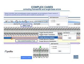DNA	
  Track	
  
‘User-­‐created	
  Annota=ons’	
  Track	
  
81	
COMPLEX CASES
correcting frameshifts and single-base errors
Becoming Acquainted with Web Apollo. COMPLEX CASES
Always	
  remember:	
  when	
  annota(ng	
  gene	
  models	
  using	
  Apollo,	
  you	
  are	
  looking	
  at	
  a	
  ‘frozen’	
  version	
  of	
  
the	
  genome	
  assembly	
  and	
  you	
  will	
  not	
  be	
  able	
  to	
  modify	
  the	
  assembly	
  itself.	
  
 