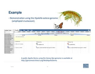 Example
Example 89
A	
  public	
  Apollo	
  Demo	
  using	
  the	
  Honey	
  Bee	
  genome	
  is	
  available	
  at	
  	
  
hAp://genomearchitect.org/WebApolloDemo	
  
-­‐	
  Demonstra(on	
  using	
  the	
  Hyalella	
  azteca	
  genome	
  
(amphipod	
  crustacean).	
  
 