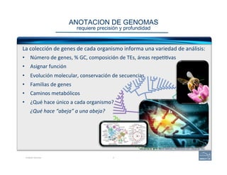 ANOTACION DE GENOMAS 
requiere precisión y profundidad
Anotando Genomas 9
La	
  colección	
  de	
  genes	
  de	
  cada	
  organismo	
  informa	
  una	
  variedad	
  de	
  análisis:	
  
•  Número	
  de	
  genes,	
  %	
  GC,	
  composición	
  de	
  TEs,	
  áreas	
  repe((vas	
  
•  Asignar	
  función	
  
•  Evolución	
  molecular,	
  conservación	
  de	
  secuencias	
  
•  Familias	
  de	
  genes	
  
•  Caminos	
  metabólicos	
  
•  ¿Qué	
  hace	
  único	
  a	
  cada	
  organismo?	
  	
  
¿Qué	
  hace	
  “abeja”	
  a	
  una	
  abeja?	
  
Marbach et al. 2011. Nature Methods | Shutterstock.com | Alexander Wild
 