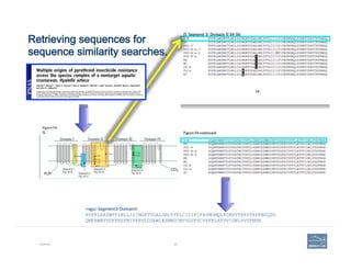 Retrieving sequences for  
sequence similarity searches.
Example 94
>vgsc-­‐Segment3-­‐DomainII	
  
RVFKLAKSWPTLNLLISIMGKTVGALGNLTFVLCIIIFIFAVMGMQLFGKNYTEKVTKFKWSQDG
QMPRWNFVDFFHSFMIVFRVLCGEWIESMWDCMYVGDFSCVPFFLATVVIGNLVVSFMHR
 