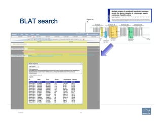 BLAT search
Example 96
 