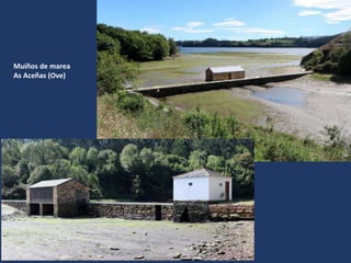 Muíños de marea
As Aceñas (Ove)
 