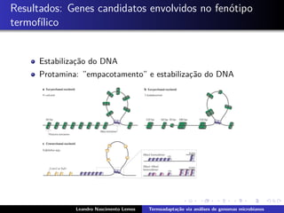 Resultados: Genes candidatos envolvidos no fen´otipo
termof´ılico
Estabilizac¸˜ao do DNA
Protamina: ”empacotamento” e estabilizac¸˜ao do DNA
Leandro Nascimento Lemos Termoadapta¸c˜ao via an´alises de genomas microbianos
 