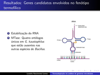 Resultados: Genes candidatos envolvidos no fen´otipo
termof´ılico
1 Estabilizac¸˜ao do RNA
2 MTase: Quatro ort´ologos
´unicos em G. kaustophilus
que est˜ao ausentes nas
outras esp´ecies de Bacillus.
Leandro Nascimento Lemos Termoadapta¸c˜ao via an´alises de genomas microbianos
 