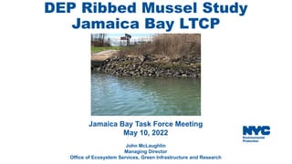 DEP Ribbed Mussel Study
Jamaica Bay LTCP
Jamaica Bay Task Force Meeting
May 10, 2022
John McLaughlin
Managing Director
Office of Ecosystem Services, Green Infrastructure and Research
 