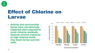 12
• Activity and survivorship
larvae were not adversely
impacted when exposed to
acute chlorine residuals;
however chronic exposure
to high chlorine levels
may lower larvae survival
rates
Effect of Chlorine on
Larvae
2
Chlorine Concentration
 