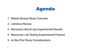 2
Agenda
1. Ribbed Mussel Study Overview
2. Literature Review
3. Microcosm Bench-top Experimental Results
4. Mesocosm Lab Testing Experimental Protocol
5. In-Situ Pilot Study Considerations
 
