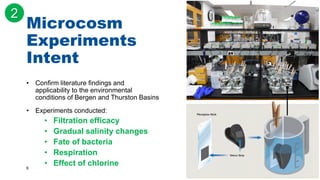 6
Microcosm
Experiments
Intent
• Conﬁrm literature ﬁndings and
applicability to the environmental
conditions of Bergen and Thurston Basins
• Experiments conducted:
• Filtration efficacy
• Gradual salinity changes
• Fate of bacteria
• Respiration
• Effect of chlorine
2
 