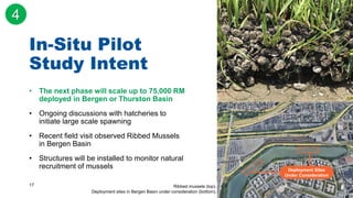 17
In-Situ Pilot
Study Intent
• The next phase will scale up to 75,000 RM
deployed in Bergen or Thurston Basin
• Ongoing d...
