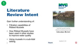 4
Literature
Review Intent
Gain further understanding of:
• Filtration capabilities of
Ribbed Mussels
• How Ribbed Mussels...