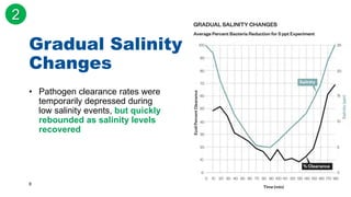 8
Gradual Salinity
Changes
• Pathogen clearance rates were
temporarily depressed during
low salinity events, but quickly
r...