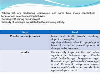 •Ribbon fish are predacious, carnivorous and some time shows cannibalistic
behavior and selective feeding behavior.
•Feeding both during day and night.
•Intensity of feeding is not related to the spawning activity.



                Stage                                     Food
       Post-larvae and juveniles       larvae and Small juvenile (anchovy,
                                       clupeoids, carangidae),
                                       cephalopods larvae, calanoid copepods, post
                                       larvae & larvae of penaeid prawns &
                                       shrimps, crabs, acetes etc
                Adults                 Commercially important fish and other
                                       organisms i.e. Stolephorus spp. Kowala
                                       coval, Sardinella spp., Leioggnathus spp.,
                                       Dussumieria spp., polynemids, Carnax spp.,
                                       Acetes*, Penaeus & metapenaeus prawns,
                                       octopus, squilla*,crab larvae, isopods, Sepia
                                       spp., megalopa larvae etc.
 