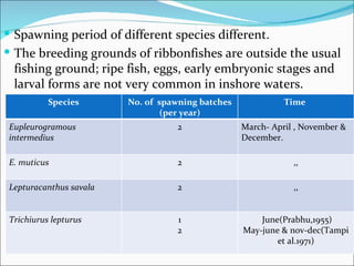  Spawning period of different species different.
 The breeding grounds of ribbonfishes are outside the usual
 fishing ground; ripe fish, eggs, early embryonic stages and
 larval forms are not very common in inshore waters.
          Species       No. of spawning batches             Time
                                (per year)
Eupleurogramous                    2              March- April , November &
intermedius                                       December.

E. muticus                         2                          ,,

Lepturacanthus savala              2                          ,,


Trichiurus lepturus                1                  June(Prabhu,1955)
                                   2              May-june & nov-dec(Tampi
                                                          et al.1971)
 