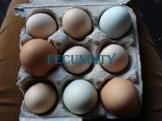 FEcUNdITY
 